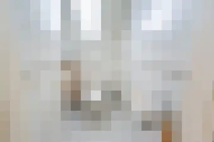 Ranonkel 27 Gendringen thumbnail 35