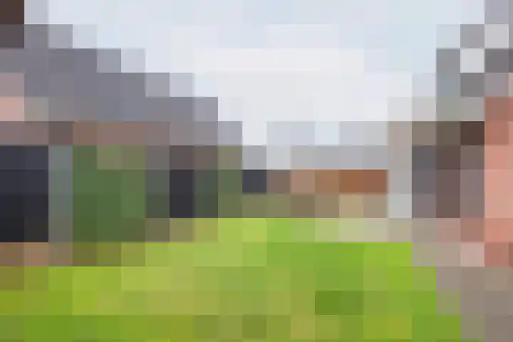 Ranonkel 27 Gendringen thumbnail 39
