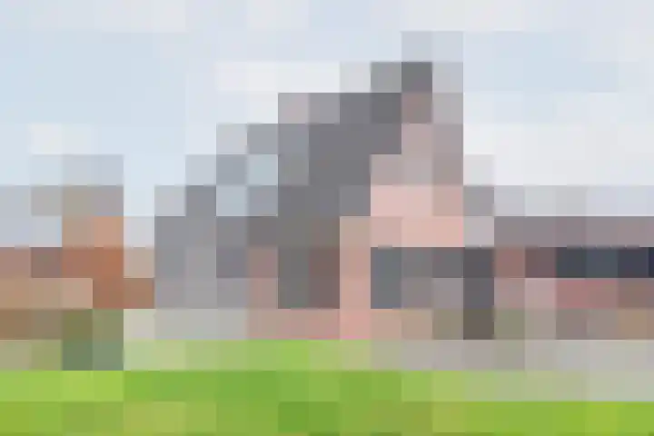 Ranonkel 27 Gendringen thumbnail 4