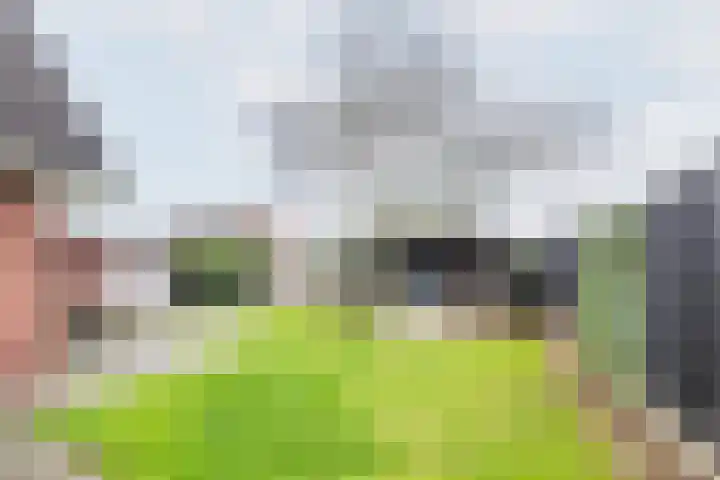 Ranonkel 27 Gendringen thumbnail 41
