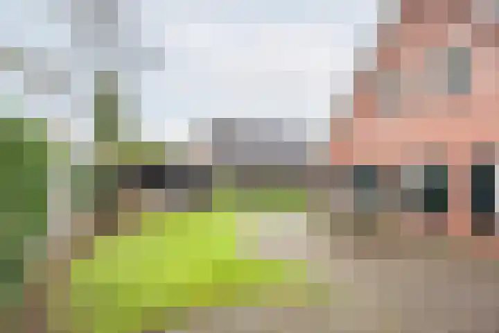 Ranonkel 27 Gendringen thumbnail 46