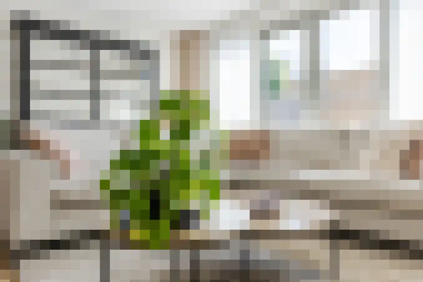 Ranonkel 3 Berkel-Enschot thumbnail 11