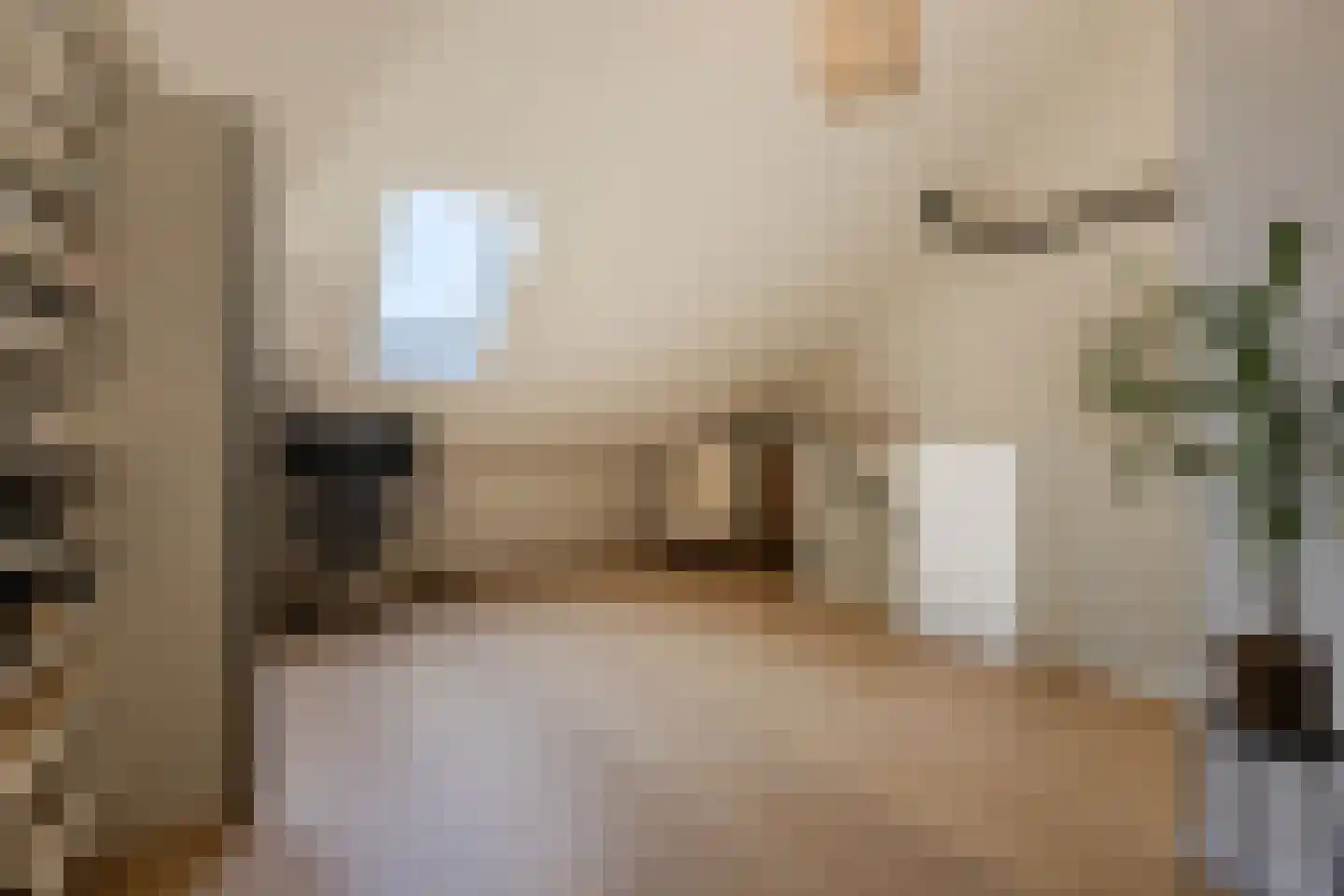 Ranonkel 3 Berkel-Enschot thumbnail 23