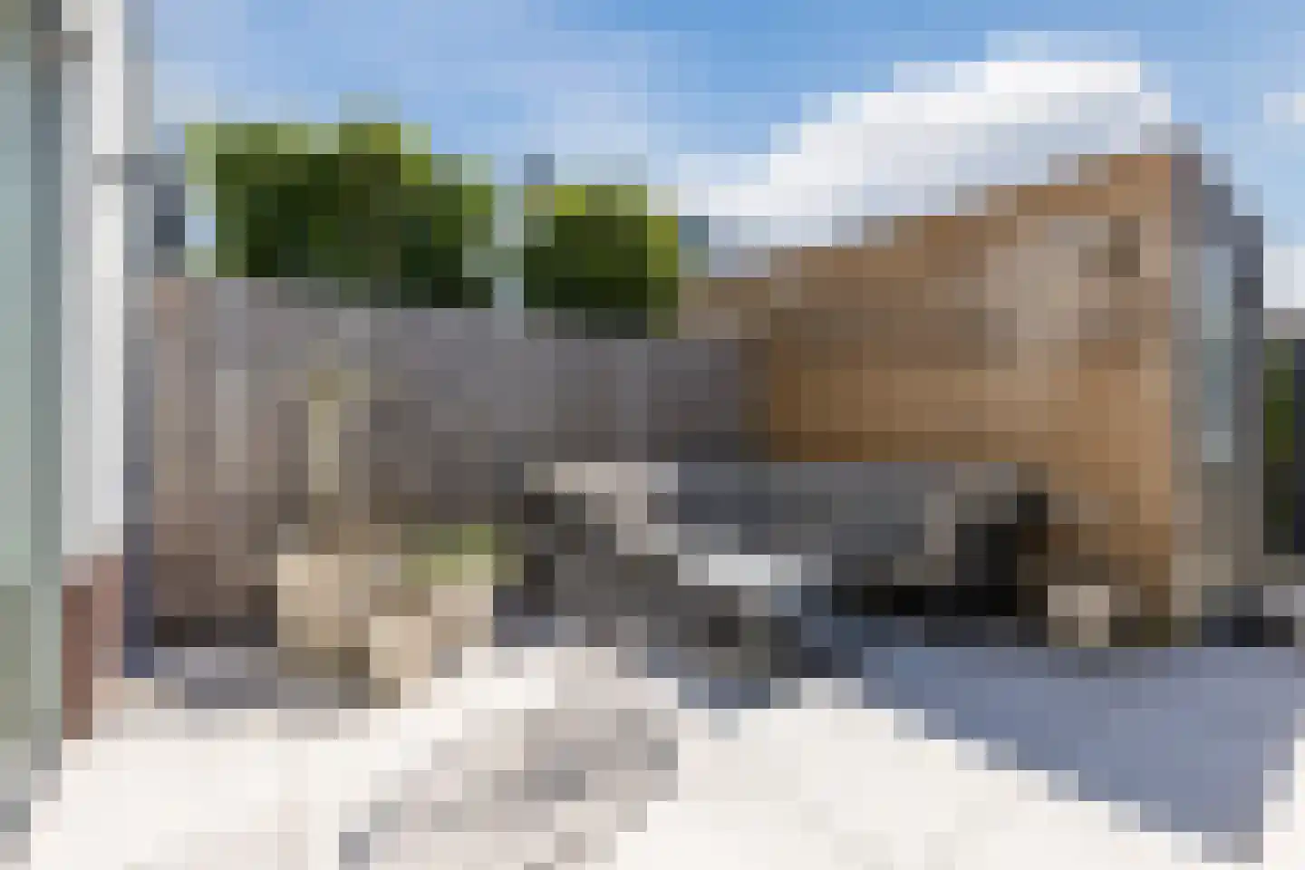 Ranonkel 3 Berkel-Enschot thumbnail 24