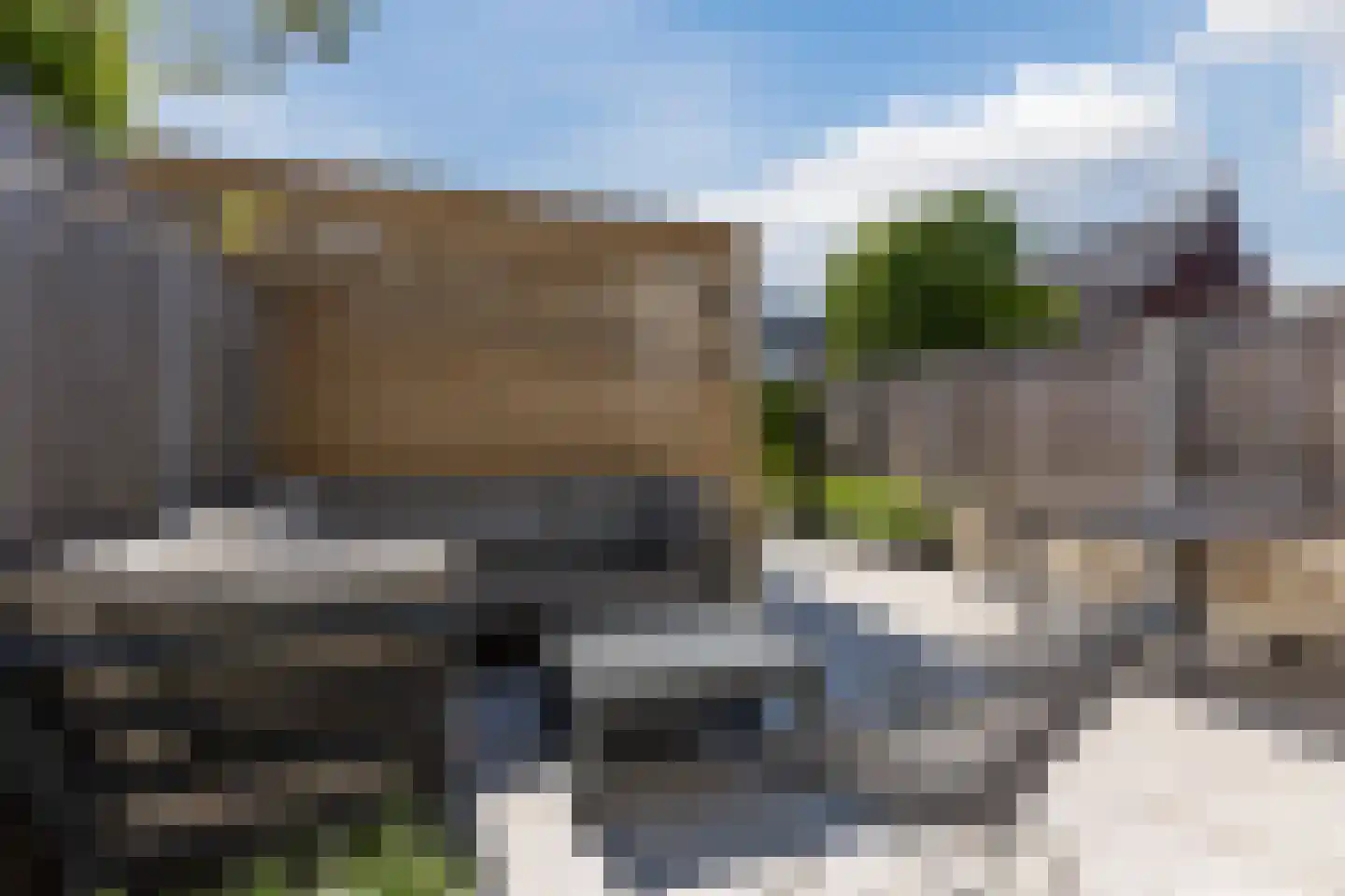 Ranonkel 3 Berkel-Enschot thumbnail 25