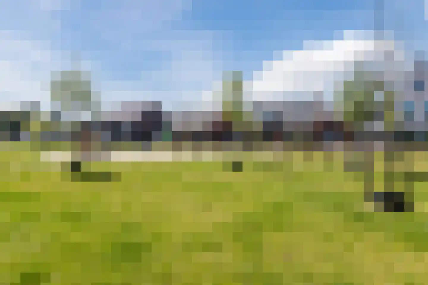 Ranonkel 3 Berkel-Enschot thumbnail 29