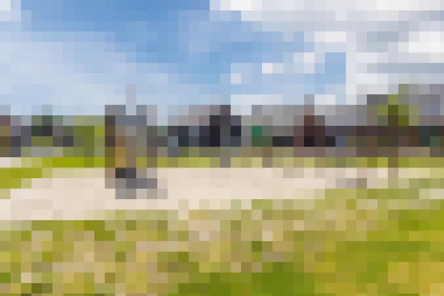 Ranonkel 3 Berkel-Enschot thumbnail 30