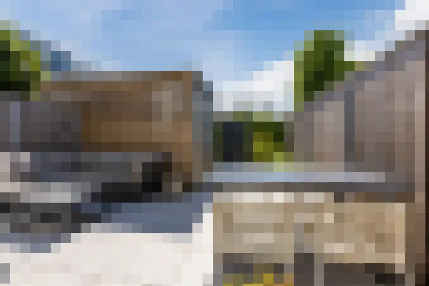 Ranonkel 3 Berkel-Enschot thumbnail 5