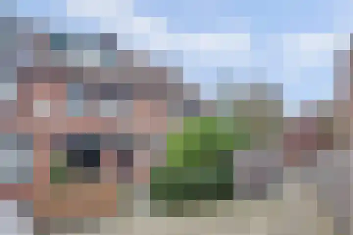 Ranonkel 31 Hoogvliet Rotterdam thumbnail 15