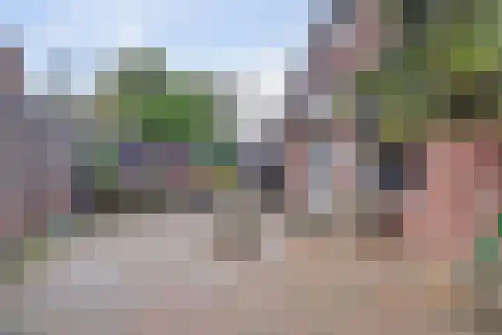 Ranonkel 31 Hoogvliet Rotterdam thumbnail 17
