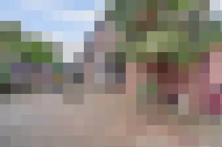 Ranonkel 31 Hoogvliet Rotterdam thumbnail 18