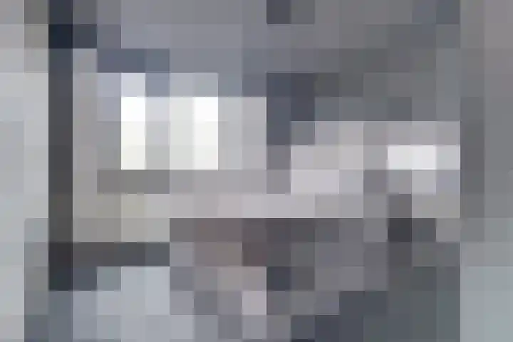 Ranonkel 31 Hoogvliet Rotterdam thumbnail 7