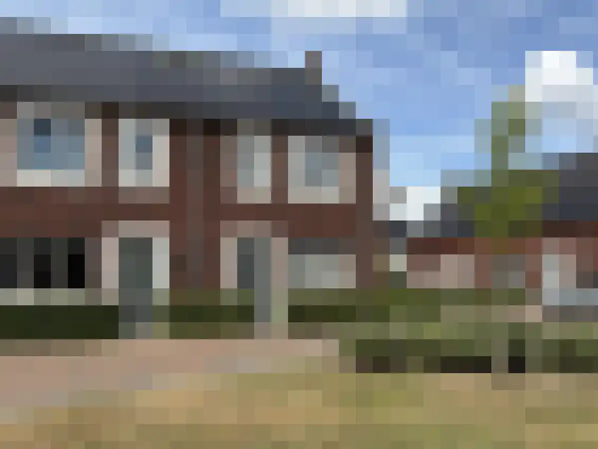 Ranonkel 41 Vlijmen foto 2