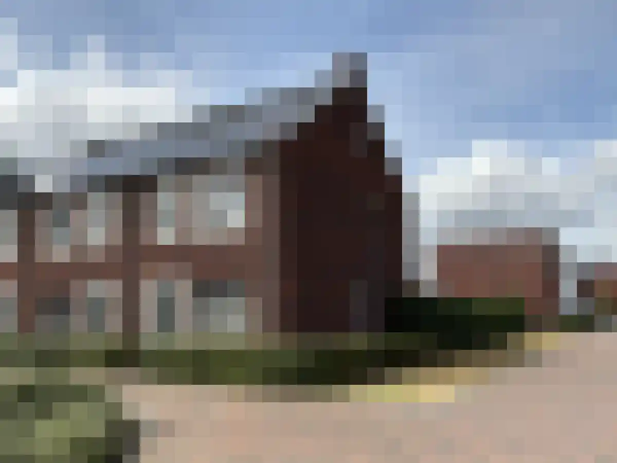 Ranonkel 41 Vlijmen thumbnail 4