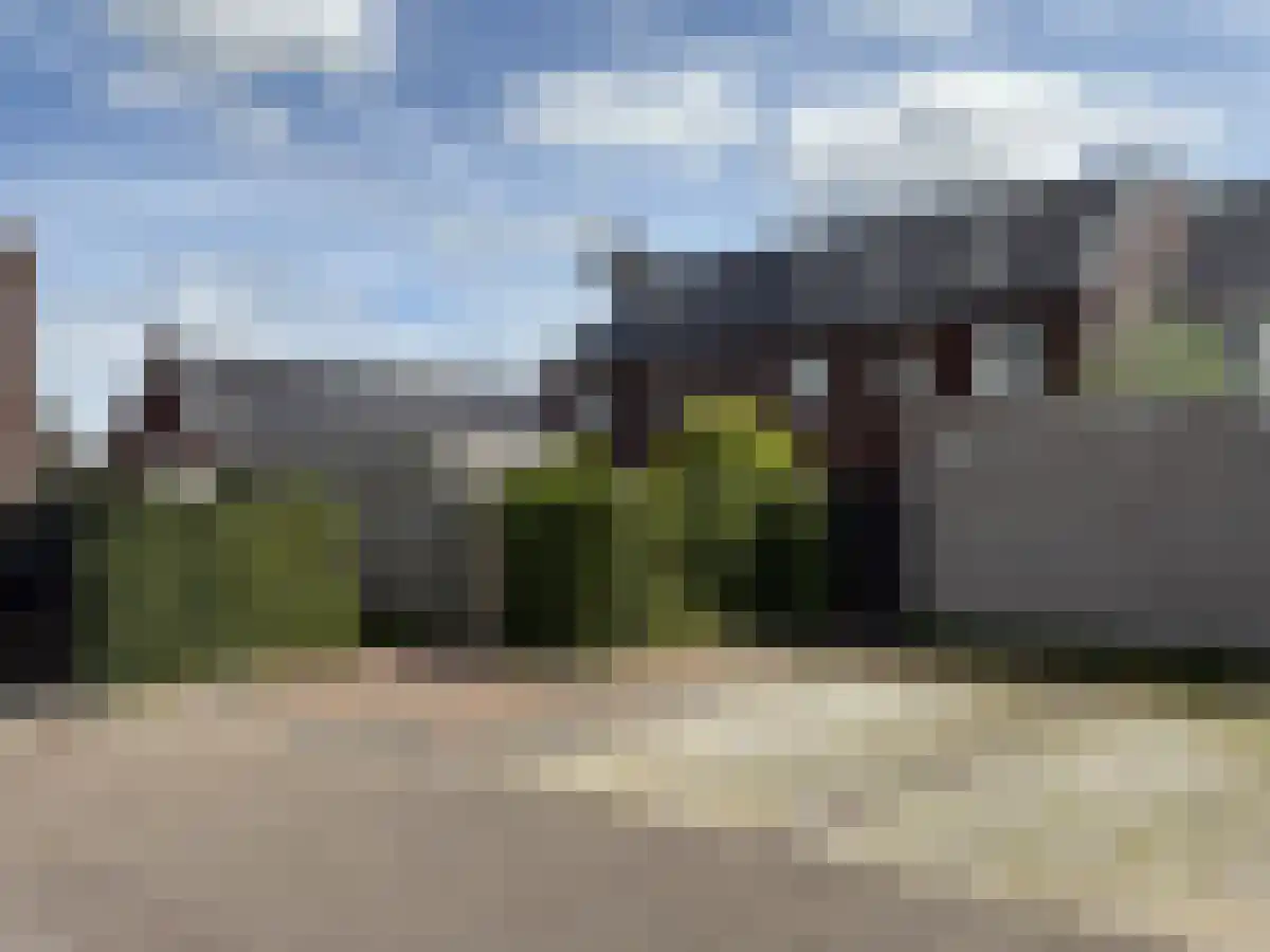 Ranonkel 41 Vlijmen thumbnail 5