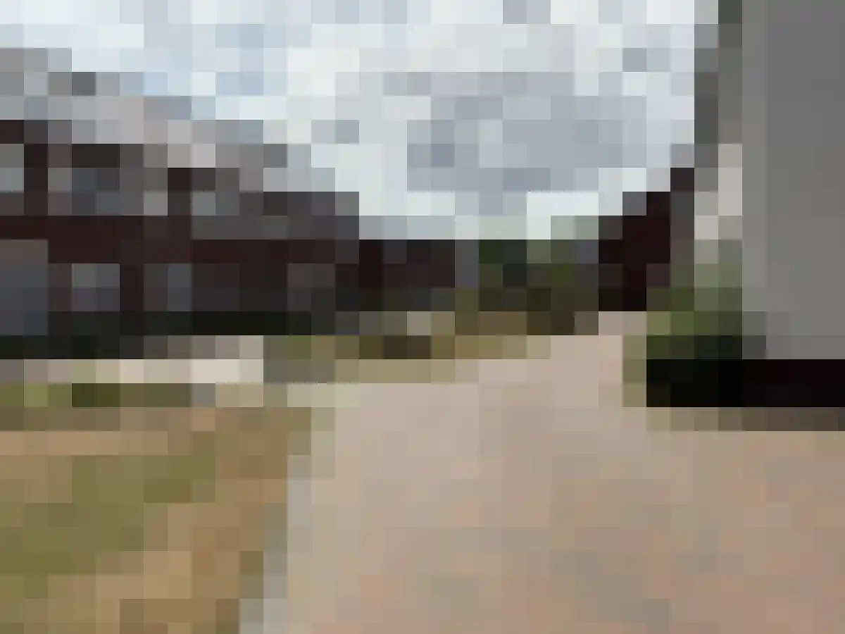Ranonkel 41 Vlijmen thumbnail 6