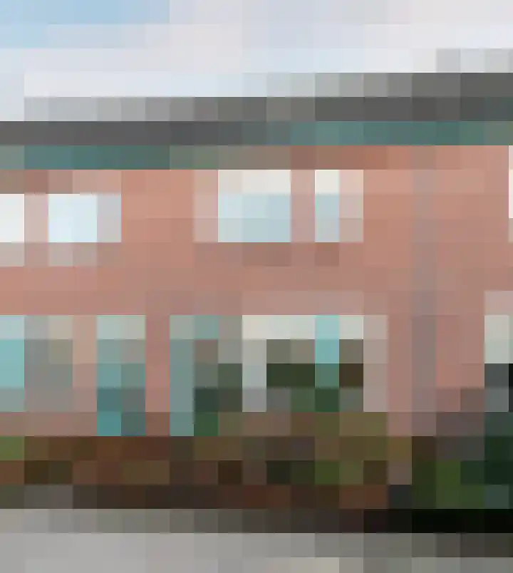 Ranonkel 5 Oldebroek