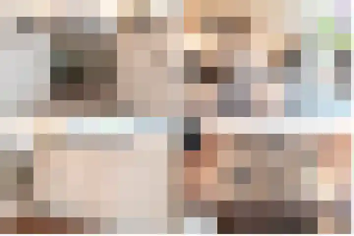 Ranonkel 5 Oldebroek thumbnail 10