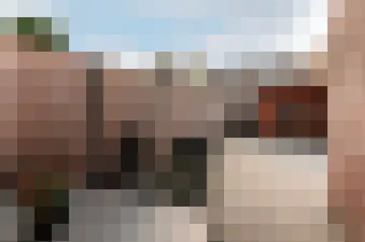 Ranonkel 5 Oldebroek thumbnail 24