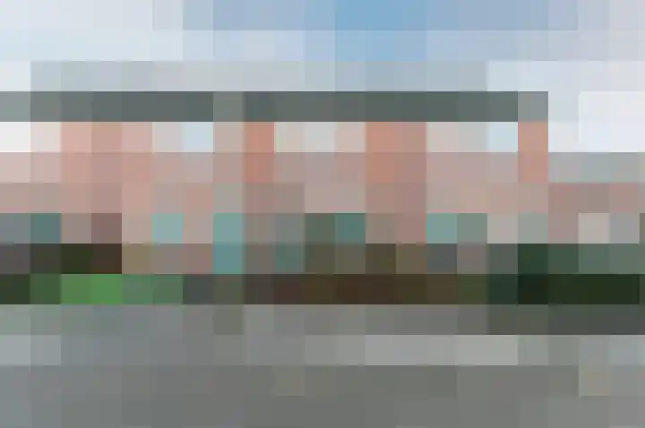 Ranonkel 5 Oldebroek thumbnail 26
