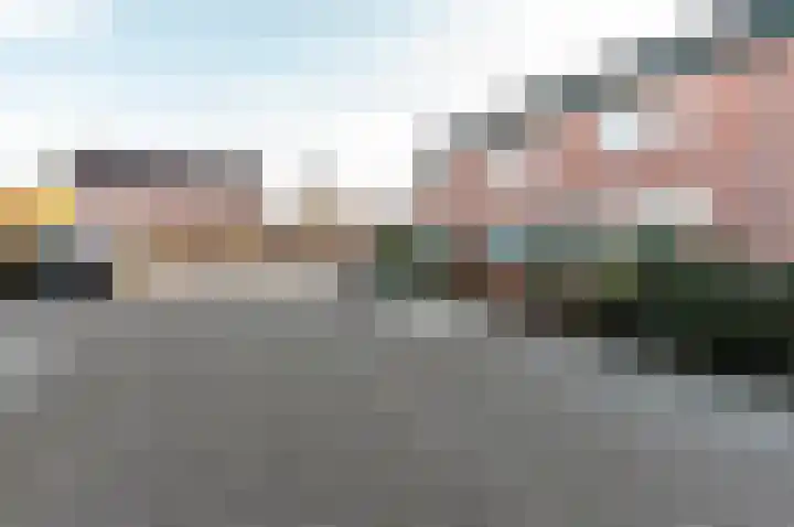 Ranonkel 5 Oldebroek thumbnail 27