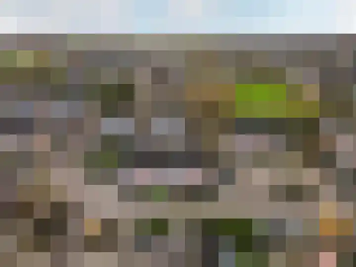 Ranonkel 5 Oldebroek thumbnail 30
