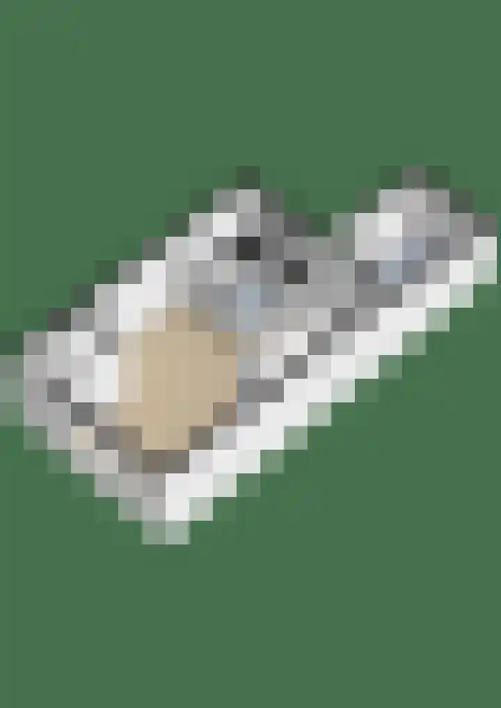 Ranonkel 5 Oldebroek thumbnail 32