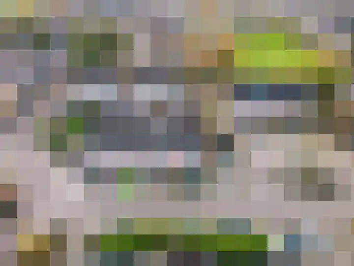 Ranonkel 5 Oldebroek thumbnail 4
