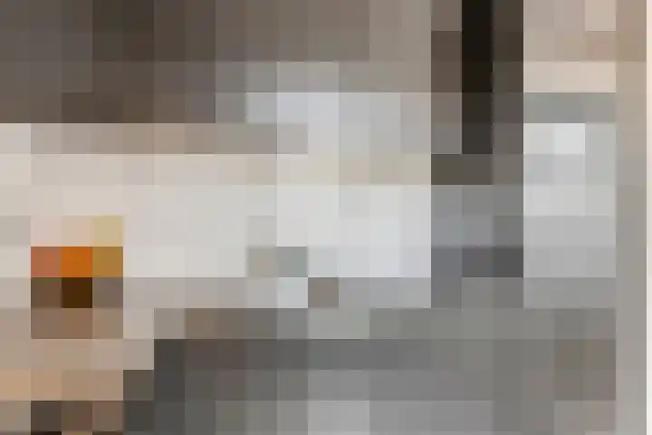 Ranonkel 5 Tiel thumbnail 12