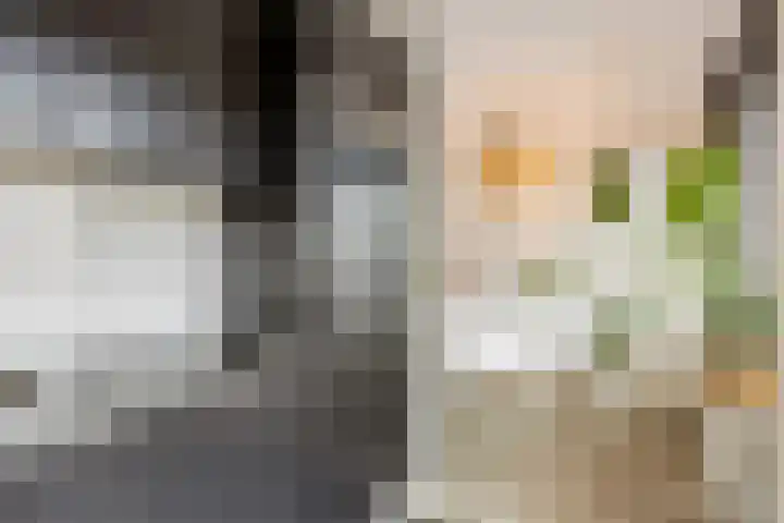 Ranonkel 5 Tiel thumbnail 13
