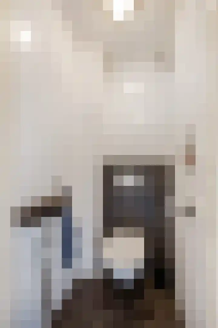 Ranonkel 5 Tiel thumbnail 14