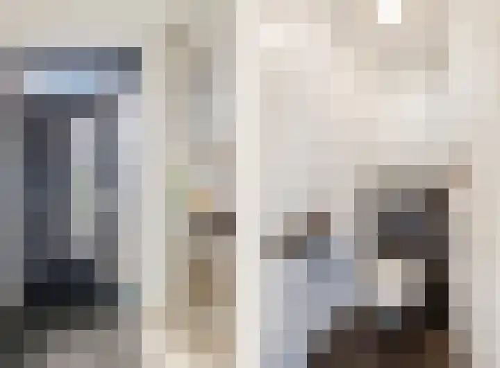 Ranonkel 5 Tiel thumbnail 16