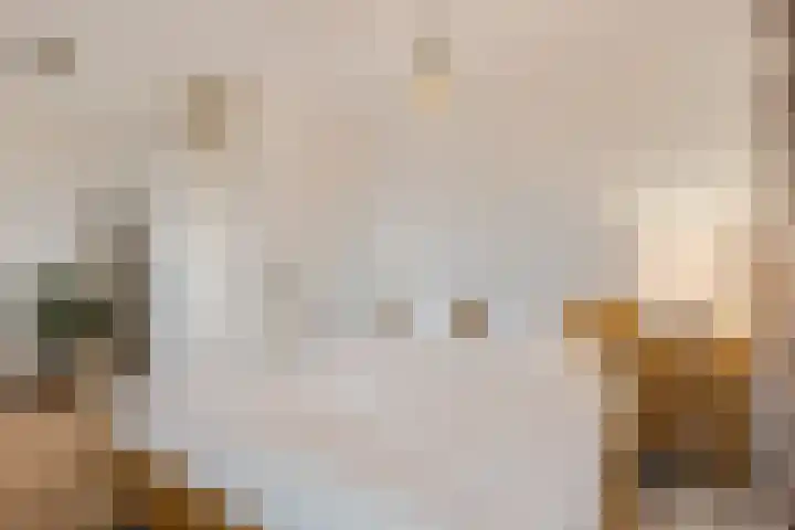 Ranonkel 5 Tiel thumbnail 18