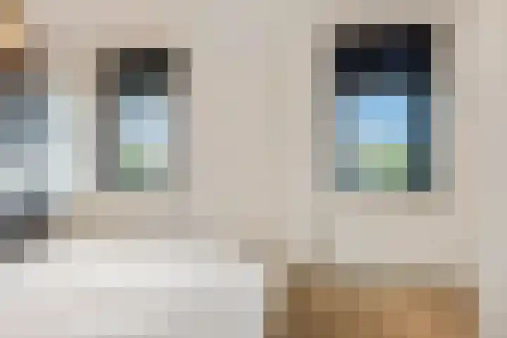 Ranonkel 5 Tiel thumbnail 19