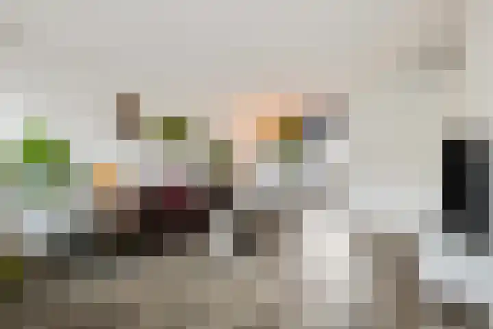 Ranonkel 5 Tiel foto 2
