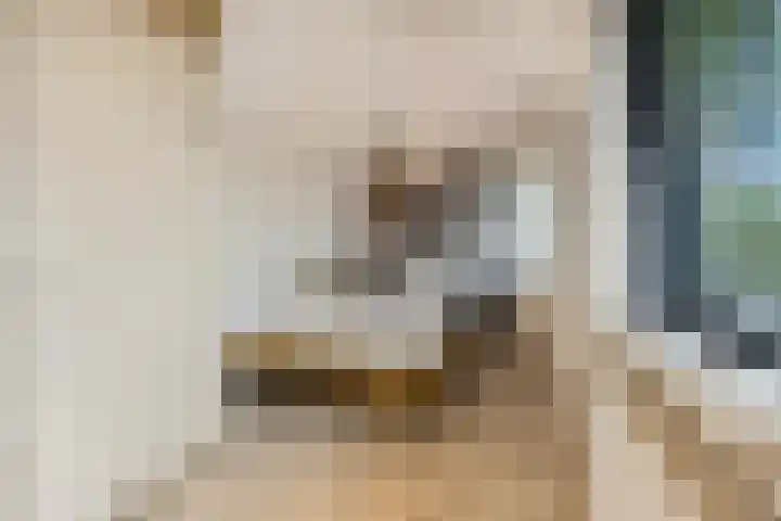 Ranonkel 5 Tiel thumbnail 20