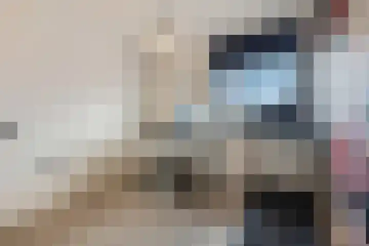 Ranonkel 5 Tiel thumbnail 22