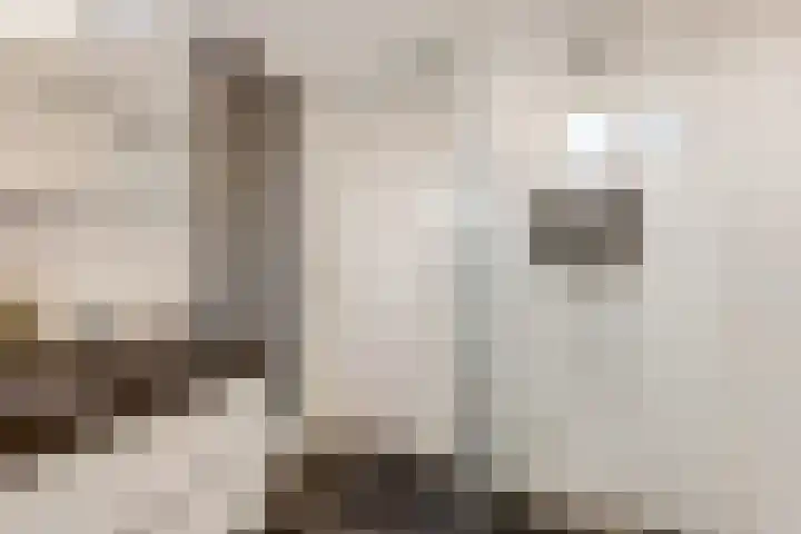 Ranonkel 5 Tiel thumbnail 27