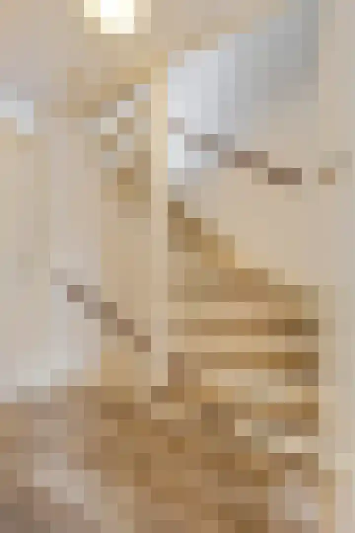 Ranonkel 5 Tiel thumbnail 28