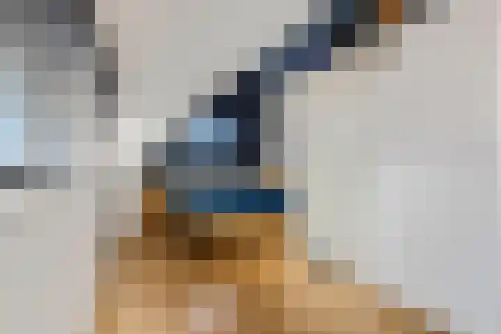 Ranonkel 5 Tiel thumbnail 31