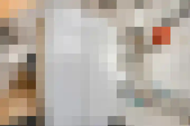 Ranonkel 5 Tiel thumbnail 33