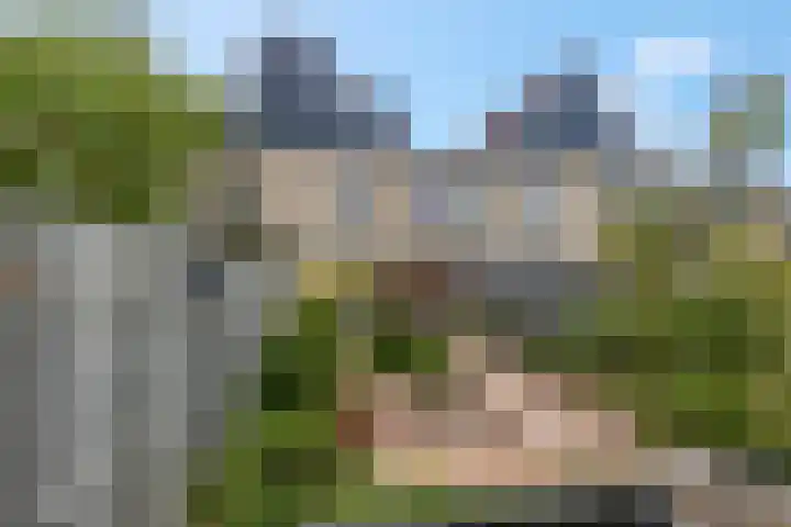 Ranonkel 5 Tiel thumbnail 36