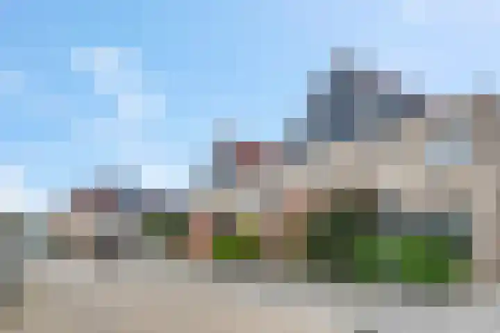 Ranonkel 5 Tiel thumbnail 39