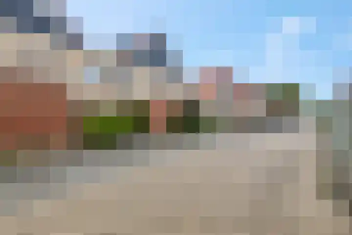 Ranonkel 5 Tiel thumbnail 40