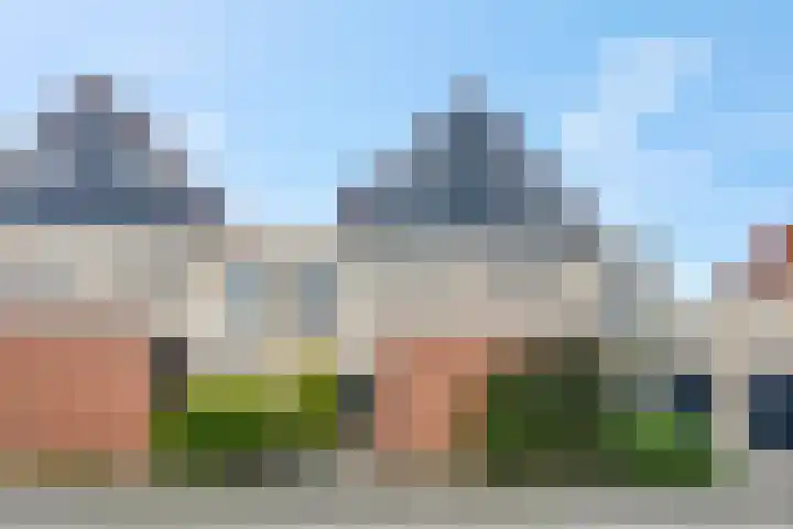Ranonkel 5 Tiel thumbnail 41
