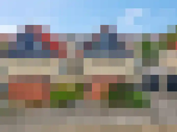 Ranonkel 5 Tiel thumbnail 6