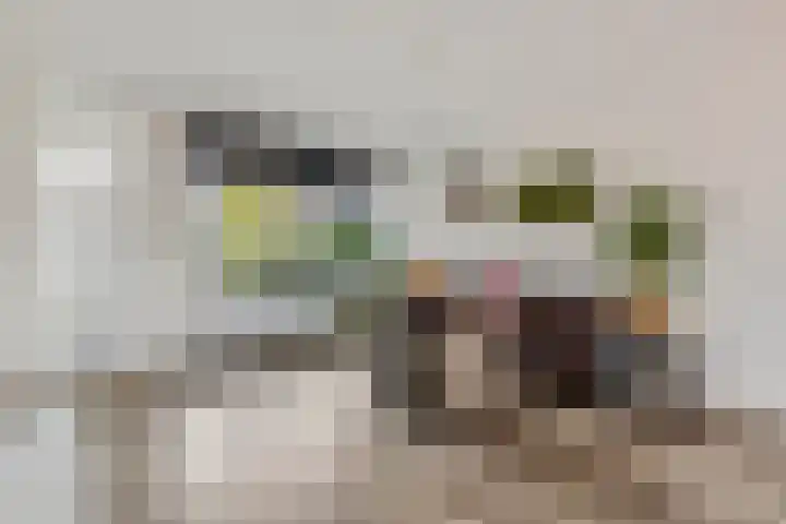 Ranonkel 5 Tiel thumbnail 9