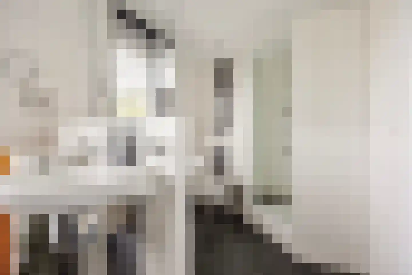 Ranonkel 7 Venray thumbnail 30