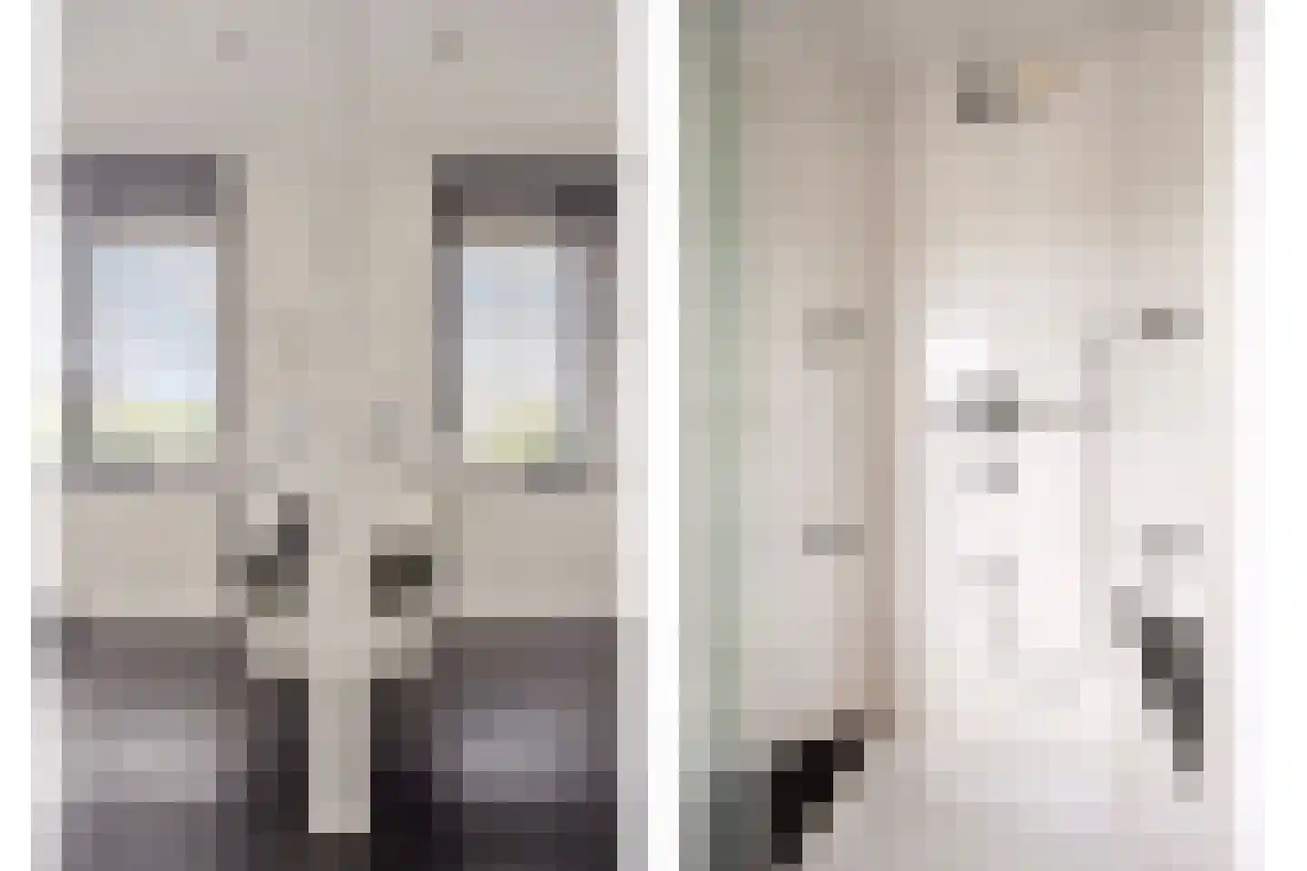 Ranonkel 7 Venray thumbnail 31