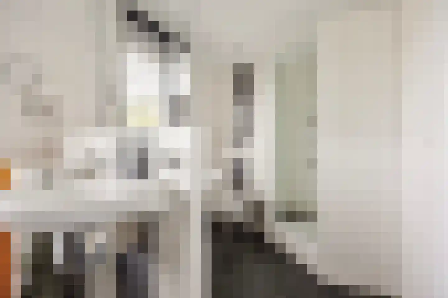 Ranonkel 7 Venray thumbnail 31